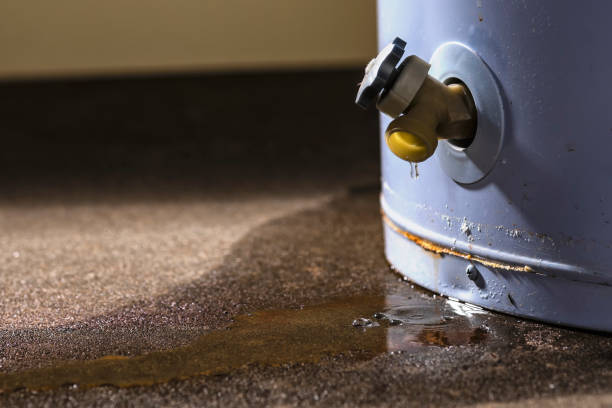 Best Mold removal after water damage  in Cedar Grove, FL