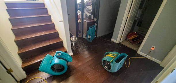 Trusted Cedar Grove, FL Water damage restoration Experts