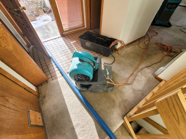 Best Local water damage restoration  in Cedar Grove, FL