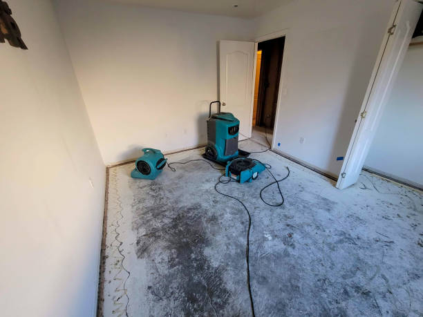 Best Carpet water damage restoration  in Cedar Grove, FL