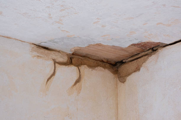 Best Water damage restoration experts  in Cedar Grove, FL