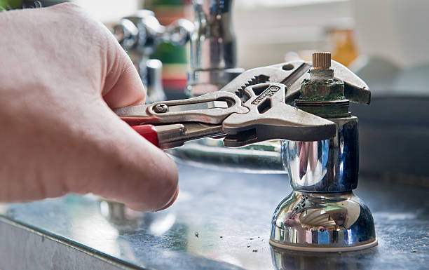 Best Basement water damage restoration  in Cedar Grove, FL