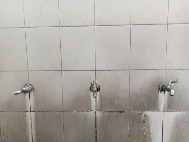 Best Professional water damage repair  in Cedar Grove, FL