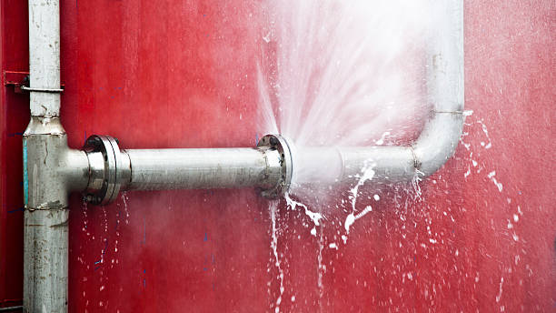 Best Water damage contractors near me  in Cedar Grove, FL